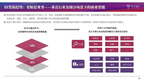 中国bi产品全解析与行业洞察报告